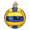 Best reviews of 🌟 Traditions Water Polo Ball Ornament ✨